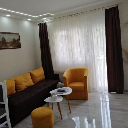 Appartamento Apartman Zi-Zo Vrsac Esterno foto