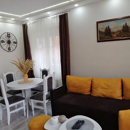 Appartamento Apartman Zi-Zo Vrsac Esterno foto