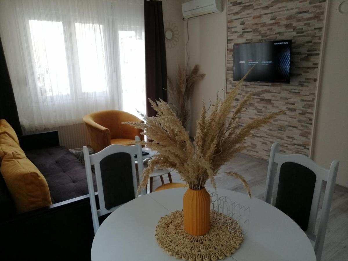 Appartamento Apartman Zi-Zo Vrsac Esterno foto