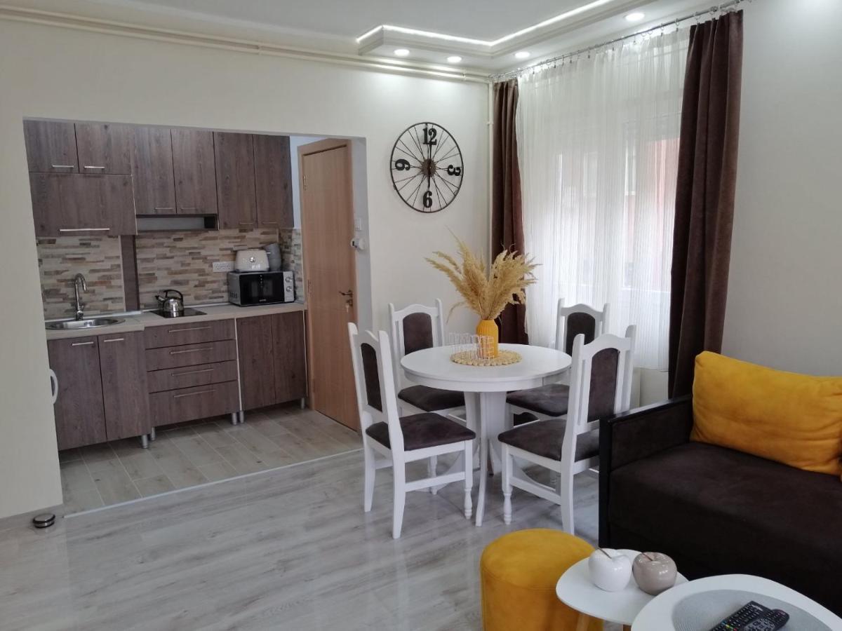 Appartamento Apartman Zi-Zo Vrsac Esterno foto